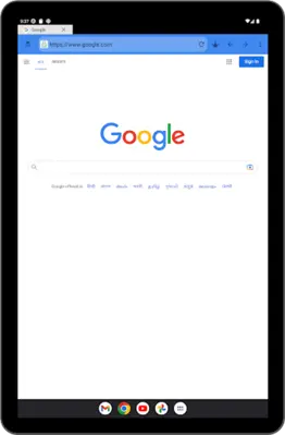 Incognito Browser android App screenshot 2